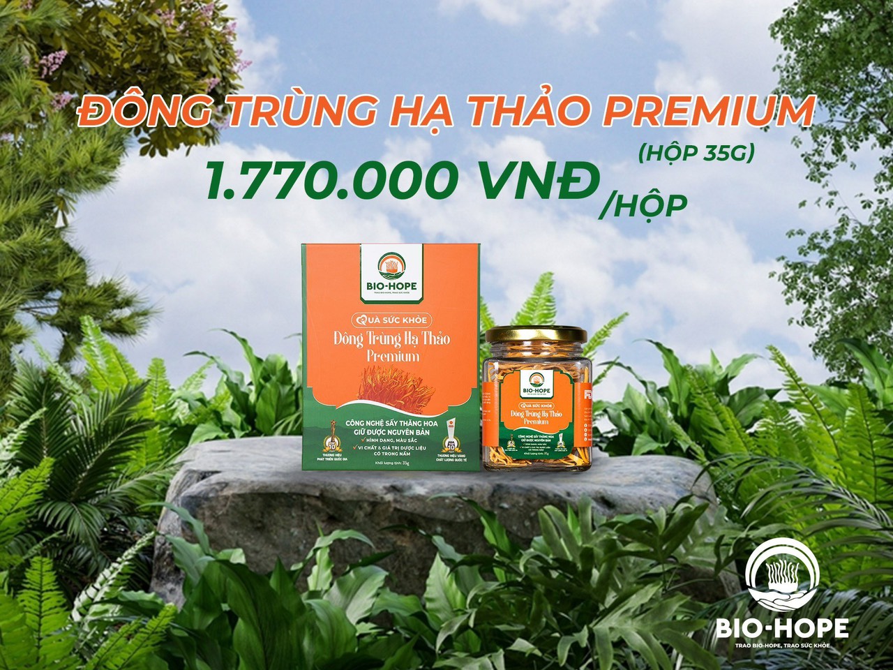 ĐỒNG TRÙNG HẠ THẢO PREMIUM